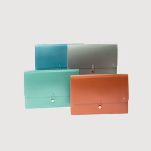 Clasificador Fuelle Extensible A4 – 5 Divisiones