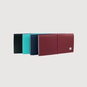 Clasificador Fuelle P/Cheques FW – 12 Divisiones