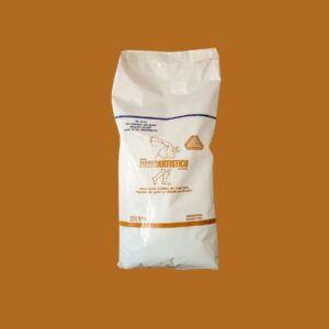 Yeso Artístico PARIS Betalfa – 1kg