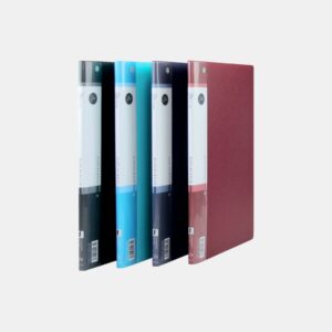 Carpeta plástica A4 c/10 folios FW