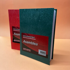 Cuaderno Escolar T/D 16×21 Araña Asamblea – 98 HJS.