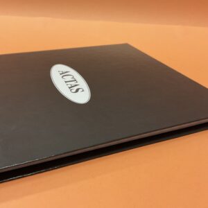 Libro Actas Corona 2M – POTOSÍ