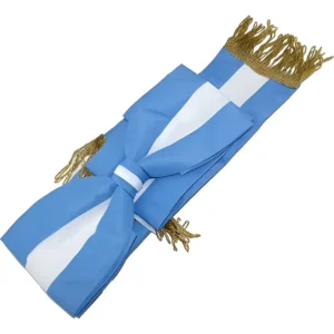 Moño Corbata Argentina grande Milenio 2501